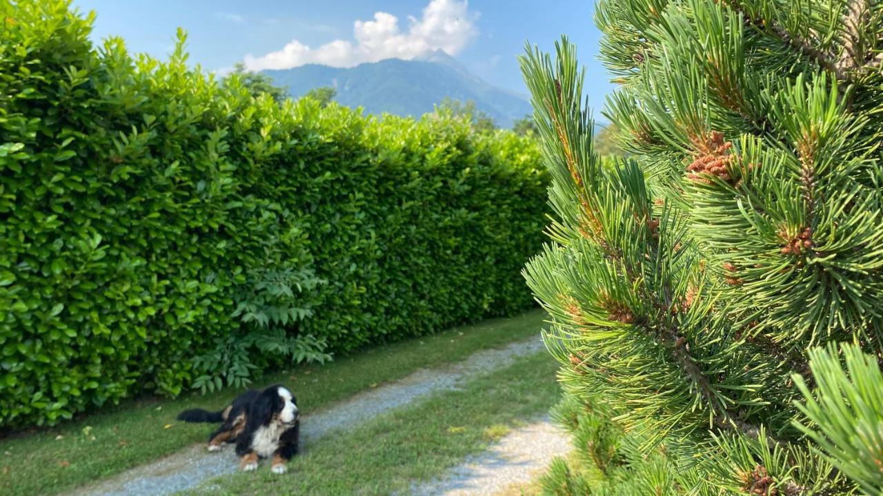 Villa Giulia - Bisalta Peveragno Εξωτερικό φωτογραφία